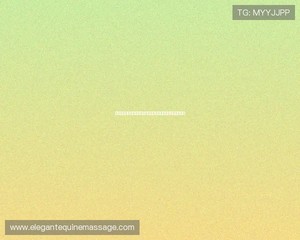 上海卫视五星体育下载指南高清赛事直播随时畅享精彩体育内容